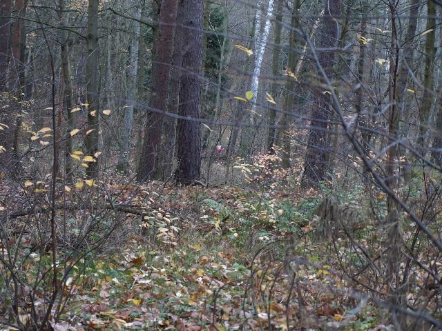 pb160116.jpg