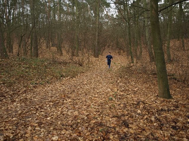 pb160190.jpg