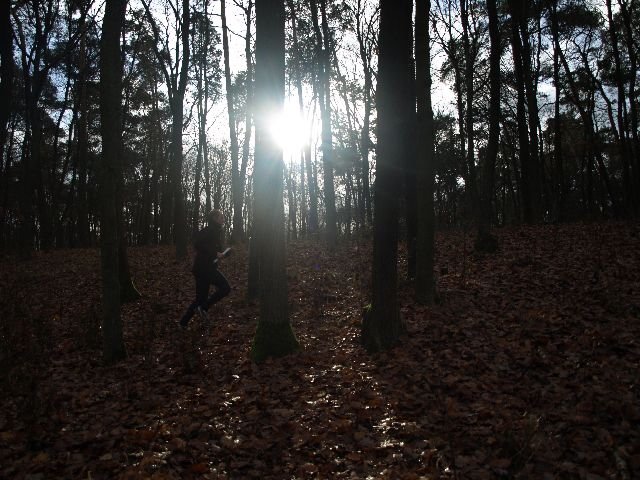 pb160222.jpg