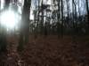 pb160224_small.jpg