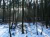 photo42_small.jpg
