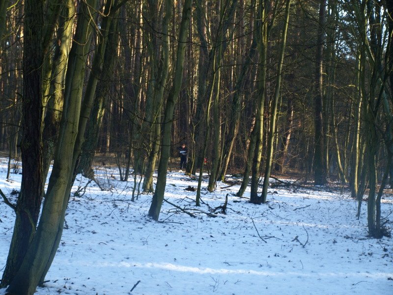 photo43.jpg
