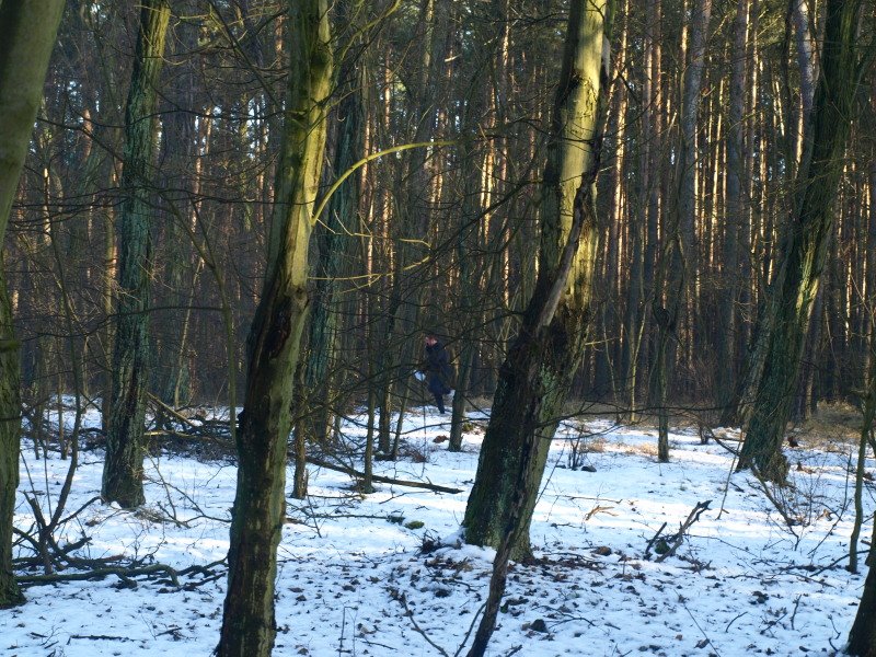 photo44.jpg