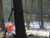 photo47_small.jpg