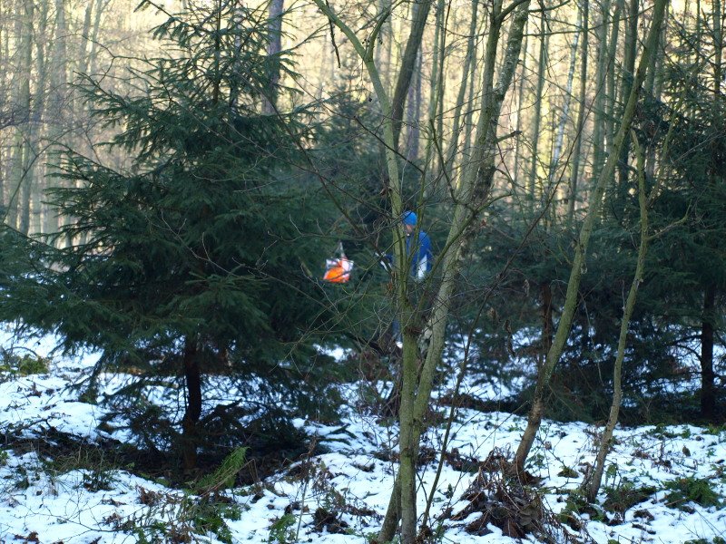 photo65.jpg