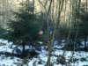 photo65_small.jpg