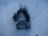 photo77_small.jpg