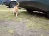 dsc01247_small.jpg